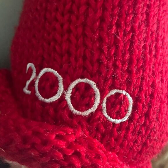 Millennial bear vintage gund curly haired bear stuffed animal red hood love 2000 - Picture 6 of 10